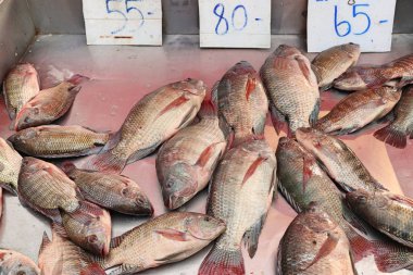 Pazarda taze balık 