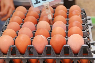 Tavuk yumurta içinde belgili tanımlık çarşı