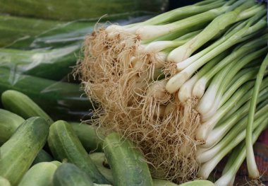 taze soğan piyasası