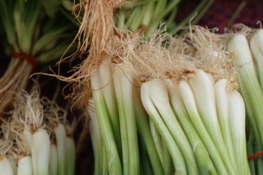 taze soğan piyasası