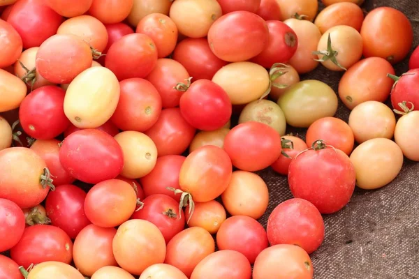 Tomaten op de markt — Stockfoto