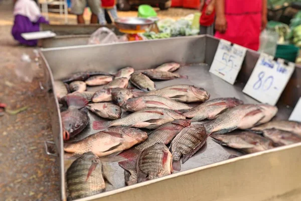 Verse vis op de markt — Stockfoto