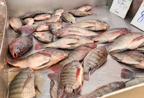 Poisson frais sur le marché — Photo