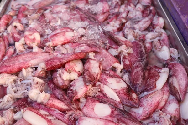 Čerstvá chobotnice na trhu — Stock fotografie