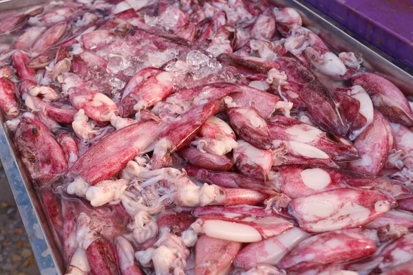 Čerstvá chobotnice na trhu — Stock fotografie
