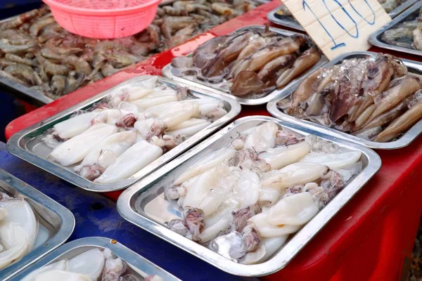 Verse squid in markt — Stockfoto