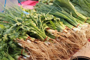 taze soğan ve kişniş Market