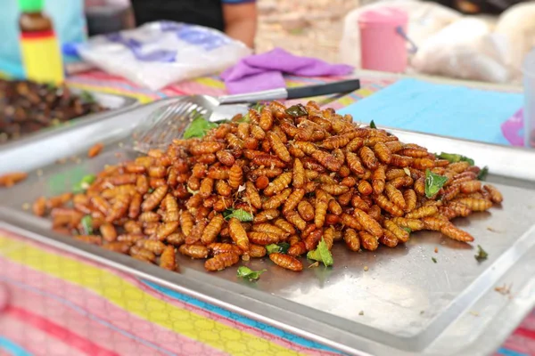 Gebakken Insect op straat eten — Stockfoto
