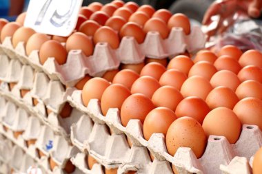 Tavuk yumurta içinde belgili tanımlık çarşı