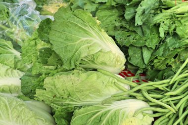 Çin lahanası Market 