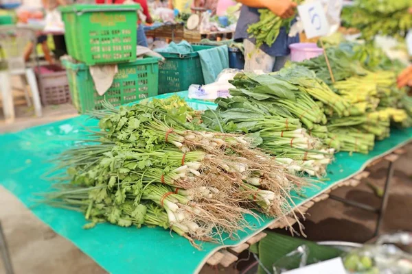 Cebolla de primavera y cilantro en el mercado — Foto de Stock