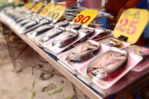 Caballa en el mercado — Foto de Stock