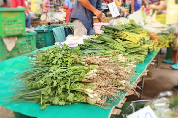 Cipollotti e coriandolo al mercato — Foto Stock