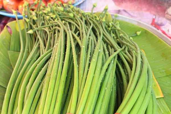 Primavera cebola flor no mercado — Fotografia de Stock