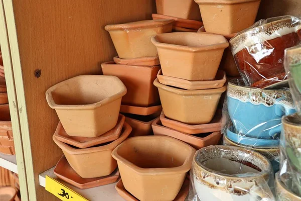 Saksı bitki çiçekçi