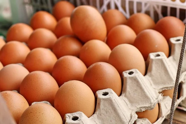 Куриное яйцо на рынке — стоковое фото