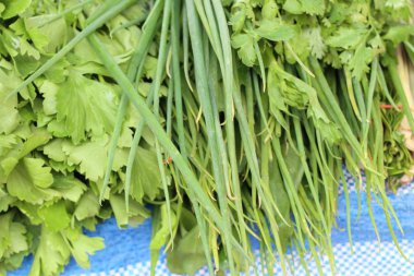 taze soğan ve kişniş Market