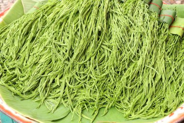 Akasya pennata Market