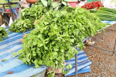 Kereviz sebze Market 