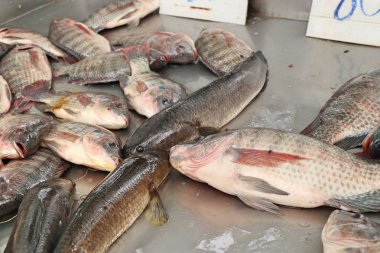 Pazarda taze balık