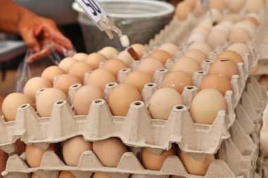 Tavuk yumurta içinde belgili tanımlık çarşı