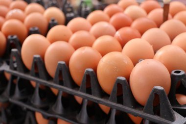 Tavuk yumurta içinde belgili tanımlık çarşı