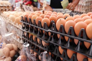 Tavuk yumurta içinde belgili tanımlık çarşı