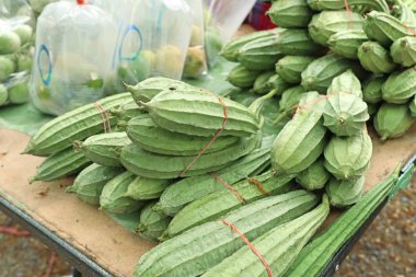 pazarda taze lif kabağı