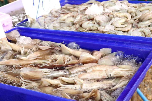 Frischer Tintenfisch auf dem Markt — Stockfoto