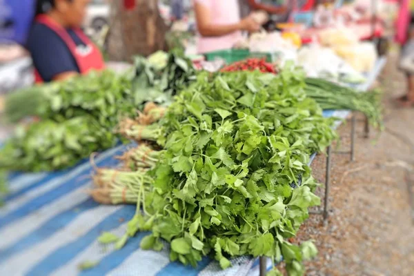 Produtos hortícolas de aipo no mercado — Fotografia de Stock