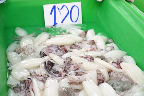Verse squid in markt — Stockfoto
