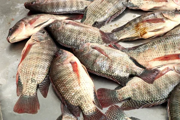 Poisson frais sur le marché — Photo