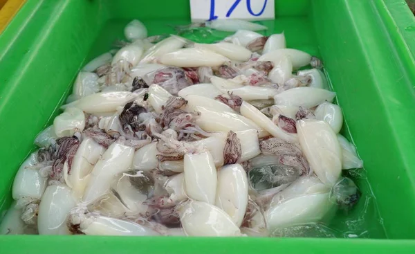 Verse squid in markt — Stockfoto