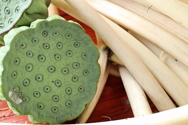 Lotus zaad op straat eten — Stockfoto