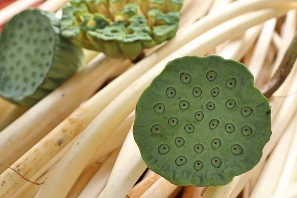 Lotus zaad op straat eten — Stockfoto