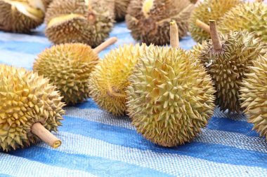 Durian meyve sokak gıda