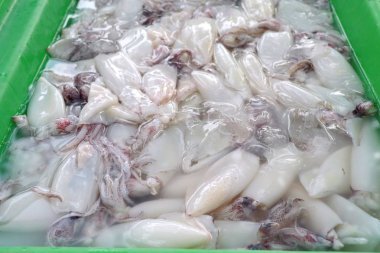 Piyasada taze mürekkep balığı