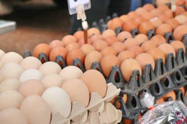 Tavuk yumurta içinde belgili tanımlık çarşı