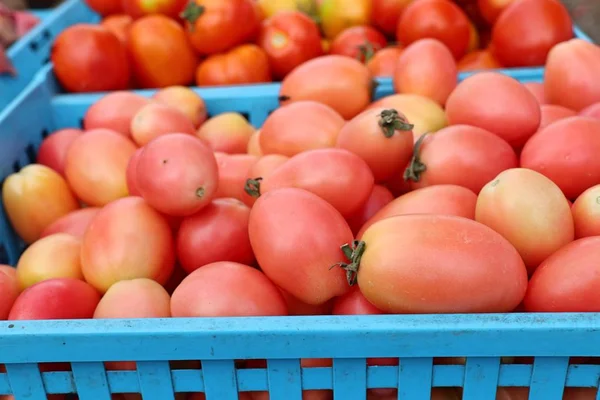 Verse tomaten op de markt — Stockfoto