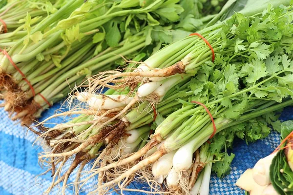 Spring onions and coriander at market — Stock Photo, Image