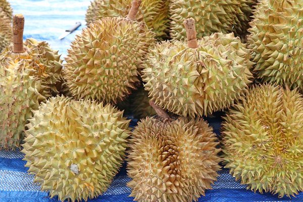 Durian fruit at street food
