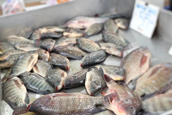 Peixe fresco no mercado — Fotografia de Stock