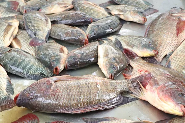 Pescado fresco en el mercado — Foto de Stock