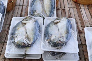 Markette taze uskumru