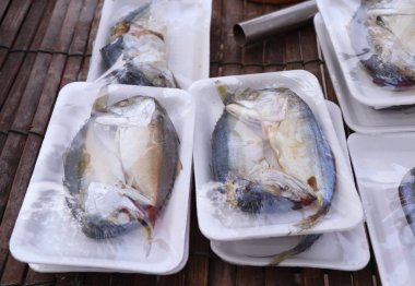 Markette taze uskumru