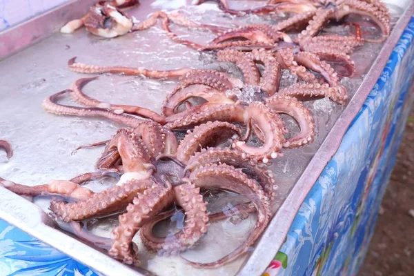 Calamares frescos en el mercado —  Fotos de Stock