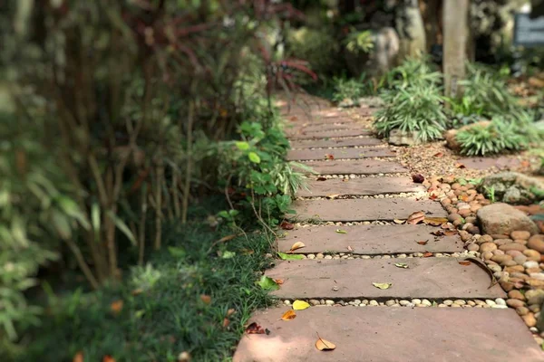 Camminamento in pietra nel parco — Foto Stock