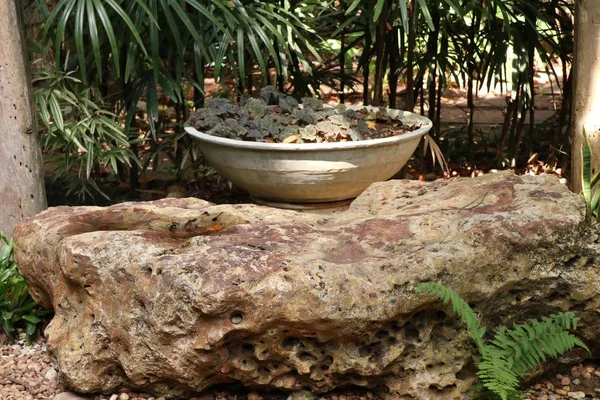 Кам'яний стілець у природному парку — стокове фото