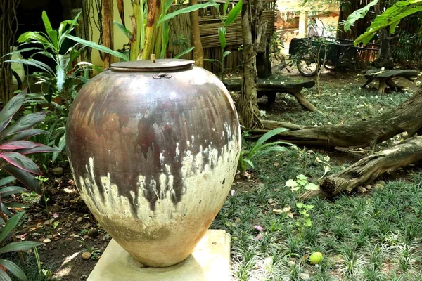 Starověké jar zdobí park — Stock fotografie