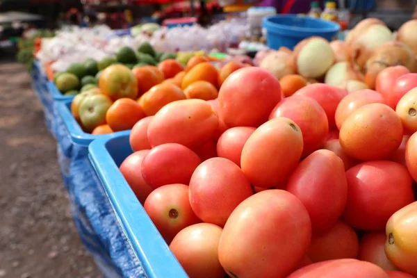 Čerstvá rajčata na trhu — Stock fotografie